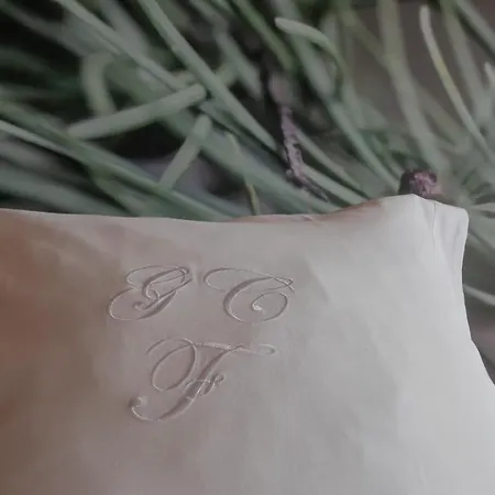 Le Grand Favre 3* Saint-Luc